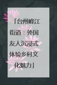 台州峰江街道：外国友人沉浸式体验乡村文化魅力