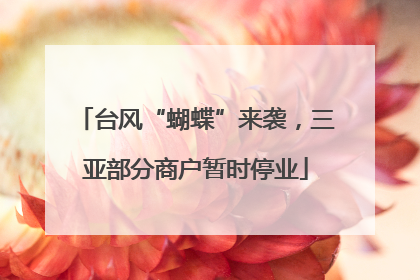 台风“蝴蝶”来袭，三亚部分商户暂时停业