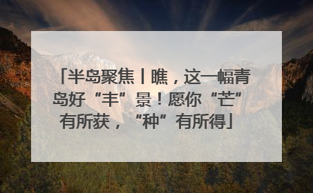 半岛聚焦丨瞧，这一幅青岛好“丰”景！愿你“芒”有所获，“种”有所得