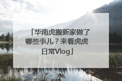 华南虎搬新家做了哪些事儿？来看虎虎日常Vlog