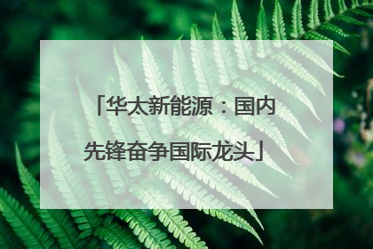 华太新能源：国内先锋奋争国际龙头
