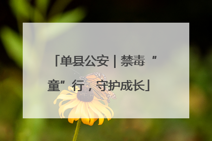 单县公安｜禁毒“童”行，守护成长