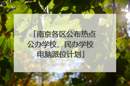 南京各区公布热点公办学校、民办学校电脑派位计划