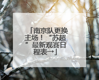 南京队更换主场！“苏超”最新观赛日程表→