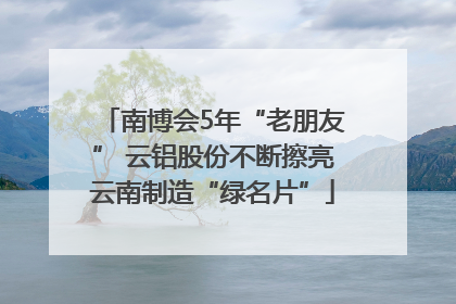 南博会5年“老朋友” 云铝股份不断擦亮云南制造“绿名片”