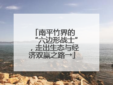 南平竹界的 “六边形战士”，走出生态与经济双赢之路→