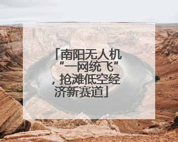 南阳无人机“一网统飞”，抢滩低空经济新赛道