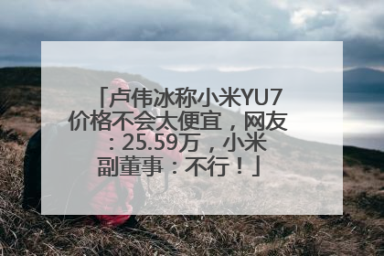 卢伟冰称小米YU7价格不会太便宜，网友：25.59万，小米副董事：不行！