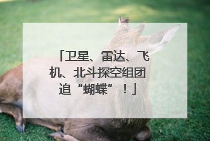卫星、雷达、飞机、北斗探空组团追“蝴蝶”！