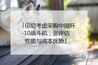 印尼考虑采购中国歼-10战斗机，正评估性能与成本优势
