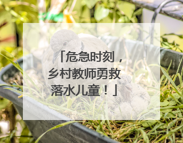 危急时刻，乡村教师勇救落水儿童！