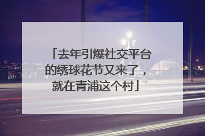 去年引爆社交平台的绣球花节又来了，就在青浦这个村
