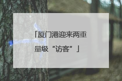 厦门港迎来两重量级“访客”