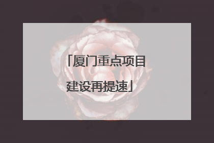 厦门重点项目建设再提速