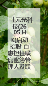 元光科技(2605.HK)启动招股 百惠担任联席账簿管理人及联席牵头经办人