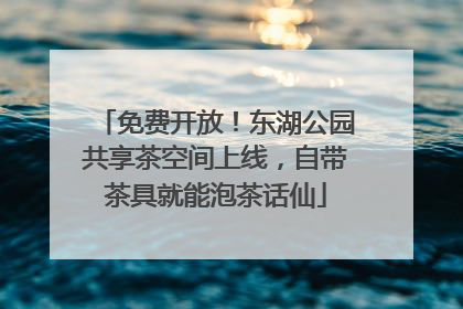免费开放！东湖公园共享茶空间上线，自带茶具就能泡茶话仙