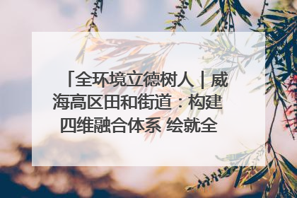 全环境立德树人｜威海高区田和街道：构建四维融合体系 绘就全环境立德树人新画卷