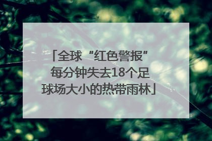 全球“红色警报”  每分钟失去18个足球场大小的热带雨林