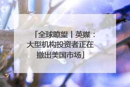 全球瞭望丨英媒：大型机构投资者正在撤出美国市场