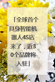 全球首个具身智能机器人4S店来了，近30个品牌将入驻