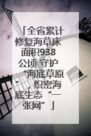 全省累计修复海草床面积938公顷 守护“海底草原”，织密海底生态“一张网”