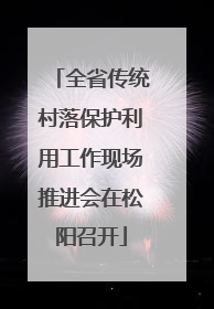 全省传统村落保护利用工作现场推进会在松阳召开