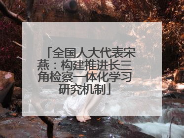 全国人大代表宋燕：构建推进长三角检察一体化学习研究机制