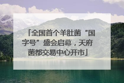 全国首个羊肚菌“国字号”盛会启幕，天府菌都交易中心开市