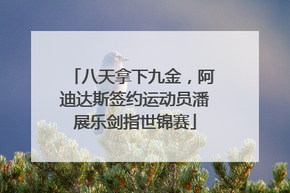 八天拿下九金，阿迪达斯签约运动员潘展乐剑指世锦赛