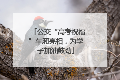 公交“高考祝福”车厢亮相，为学子加油鼓劲