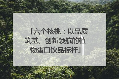 六个核桃：以品质筑基、创新领航的植物蛋白饮品标杆