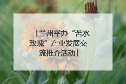 兰州举办“苦水玫瑰”产业发展交流推介活动