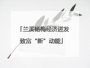 兰溪杨梅经济迸发致富“新”动能