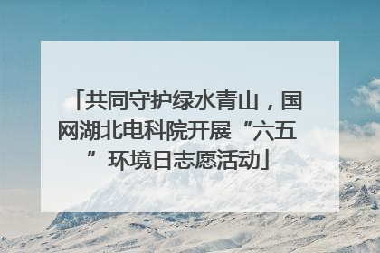 共同守护绿水青山，国网湖北电科院开展“六五”环境日志愿活动