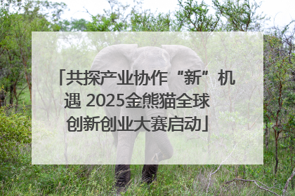 共探产业协作“新”机遇 2025金熊猫全球创新创业大赛启动
