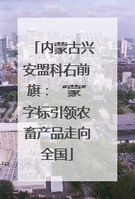 内蒙古兴安盟科右前旗：“蒙”字标引领农畜产品走向全国