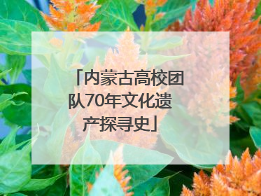 内蒙古高校团队70年文化遗产探寻史
