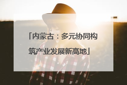 内蒙古：多元协同构筑产业发展新高地