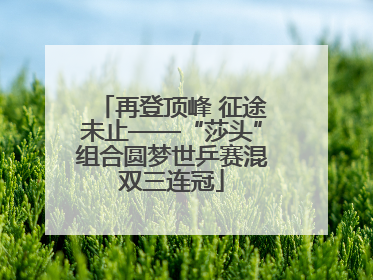 再登顶峰 征途未止——“莎头”组合圆梦世乒赛混双三连冠