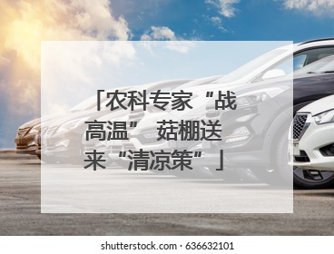 农科专家“战高温” 菇棚送来“清凉策”