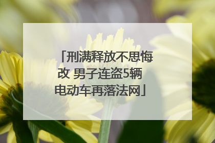 刑满释放不思悔改 男子连盗5辆电动车再落法网