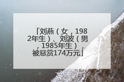 刘燕（女，1982年生）、刘波（男，1985年生），被悬赏174万元