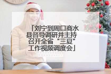 刘宁到周口商水县督导调研并主持召开全省“三夏”工作视频调度会