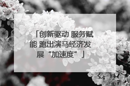 创新驱动 服务赋能 跑出演马经济发展“加速度”