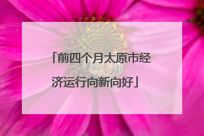 前四个月太原市经济运行向新向好