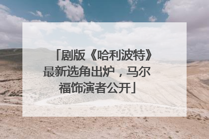 剧版《哈利波特》最新选角出炉，马尔福饰演者公开