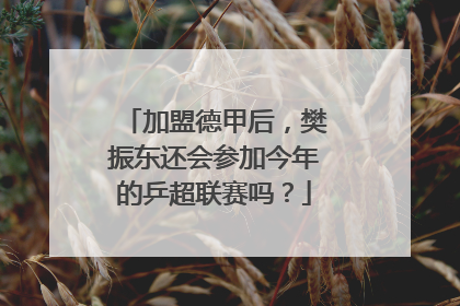 加盟德甲后，樊振东还会参加今年的乒超联赛吗？
