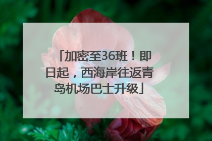 加密至36班！即日起，西海岸往返青岛机场巴士升级