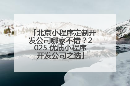 北京小程序定制开发公司哪家不错？2025 优质小程序开发公司之选