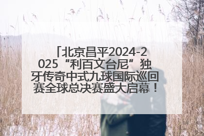 北京昌平2024-2025“利百文台尼”独牙传奇中式九球国际巡回赛全球总决赛盛大启幕！冠军500万